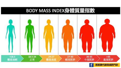 肥胖類型測驗|身體質量指數